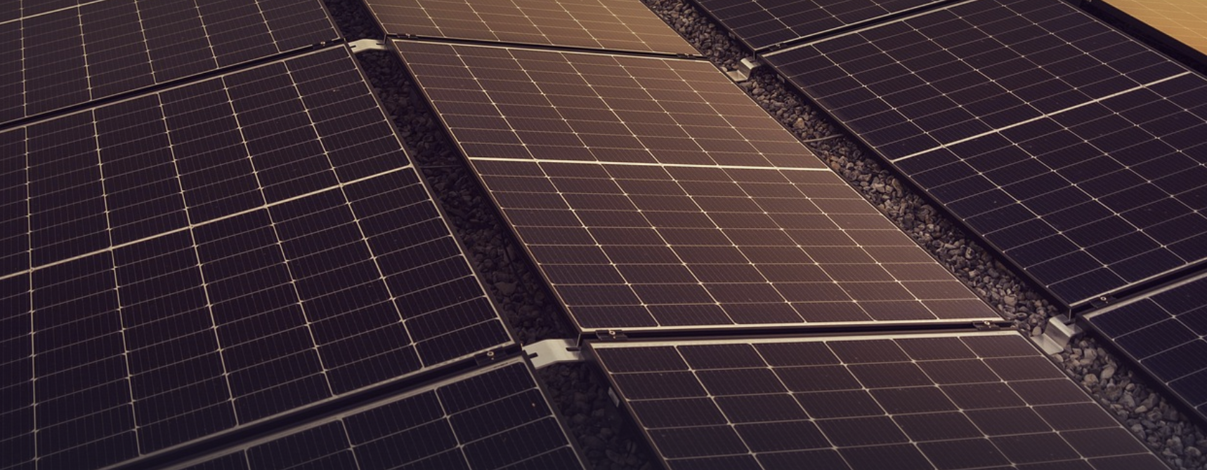 Gros plan sur des panneaux solaires installés en rangées